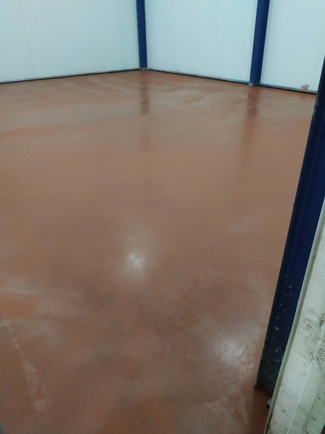 fb_img_1746779582129